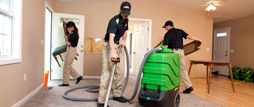 Romulus, MI cleaning services